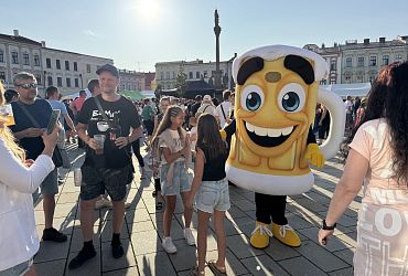 Obrázek č.94