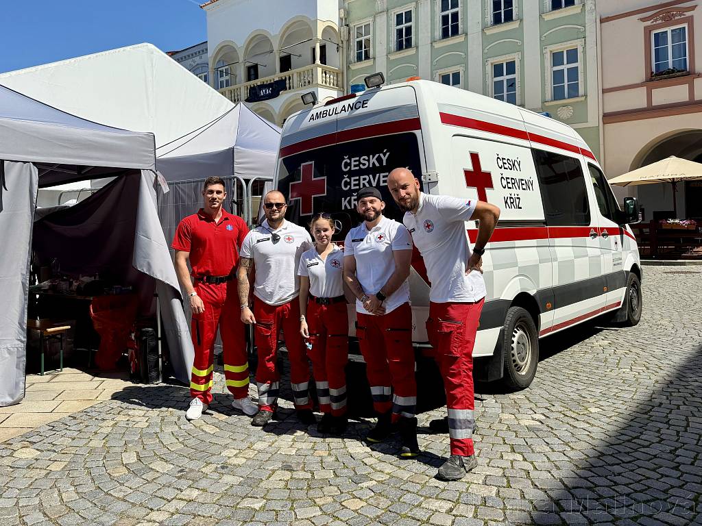 Beer Harvest 2025 (XI. year)