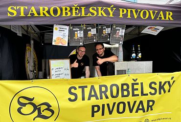 Obrázek č.12