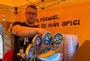 Obrázek č.43